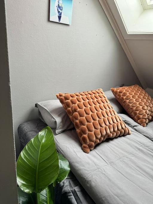 Urban Loftleilighet Trondheim Zewnętrze zdjęcie